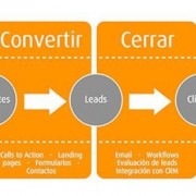 contenidos-1
